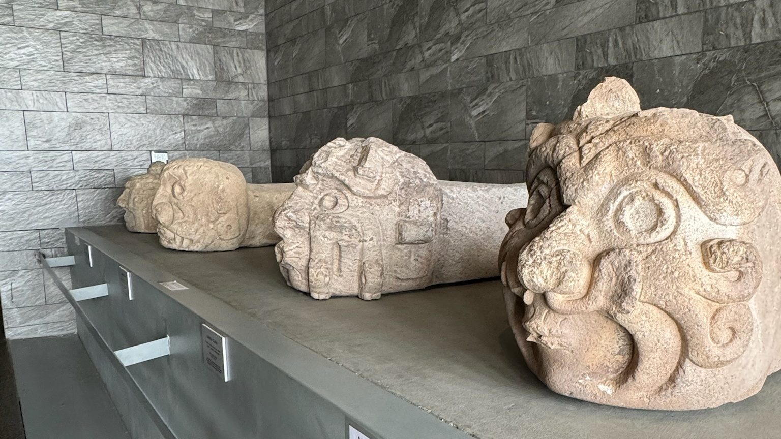 Three carved stone heads set side by side on a long museum shelf, each cut with wide round eyes and a heavy brow