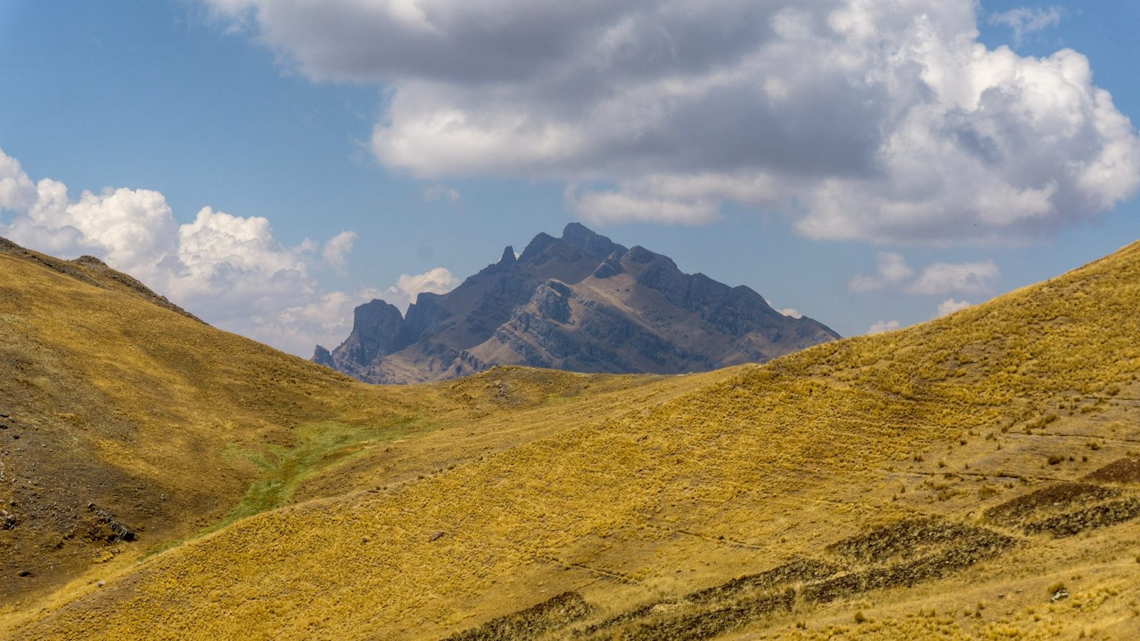 Jagged peaks rising beyond a long slope of golden grassland